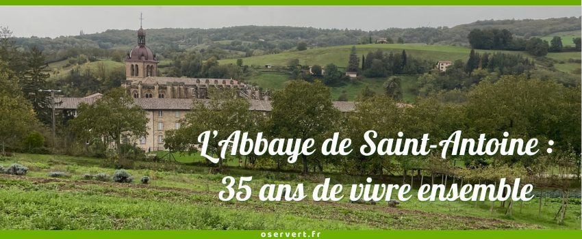 L'Arche de Saint-Antoine : Témoignage de mon séjour