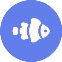 Neemo Finance