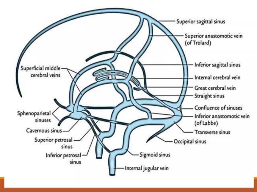 IMAGING IN CEREBRAL VENOUS THROMBOSIS | PPT