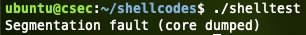 는 segfault