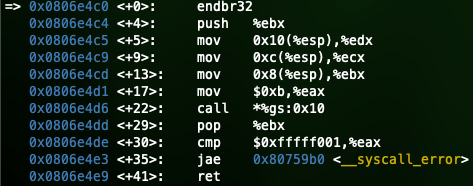 libc.so의 execve 함수