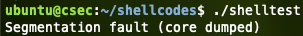 또 segfault