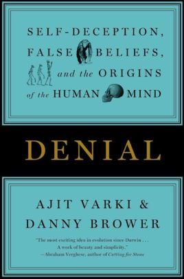 Denial550x406.jpg