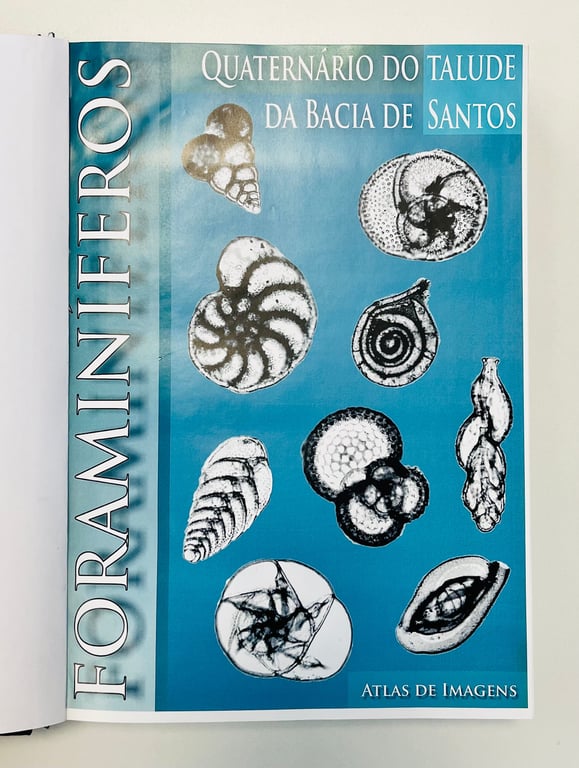 Atlas de Imagens - Foraminíferos quaternários da Bacia de Santos