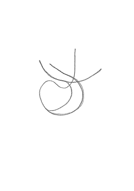 notion image