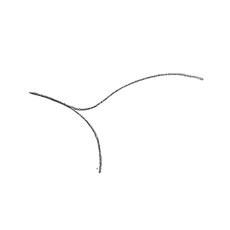 notion image