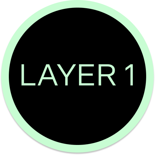 Layer-1 Networks