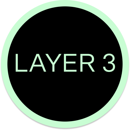 Layer-3 Networks
