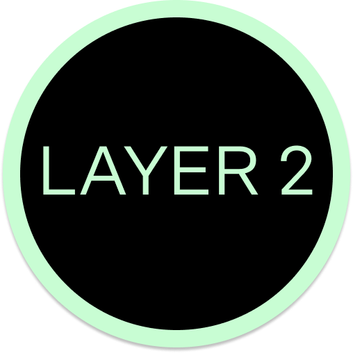 Layer-2 Networks