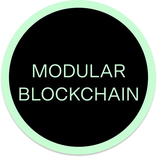 Modular Blockchain