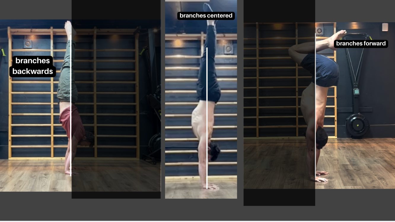 notion image