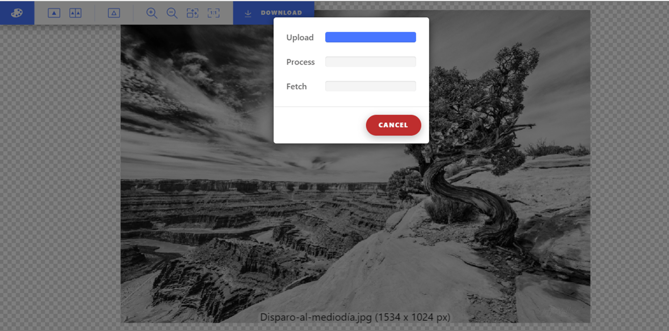 notion image