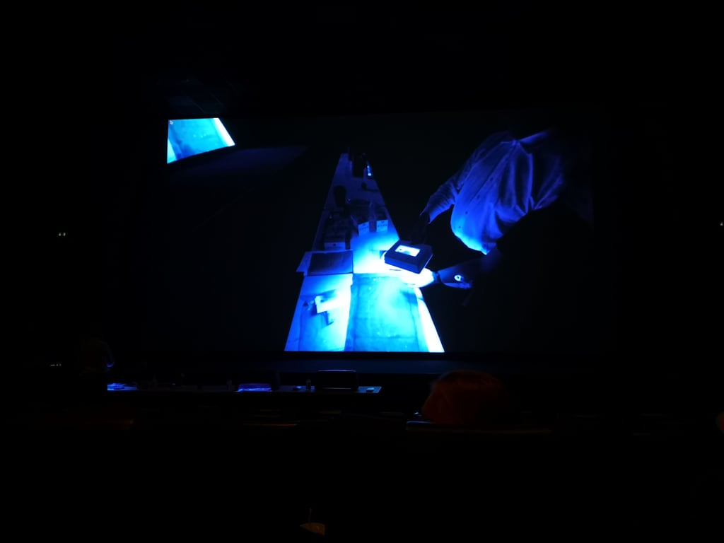 Den professionelle tatovørs rolle og branchens udvikling