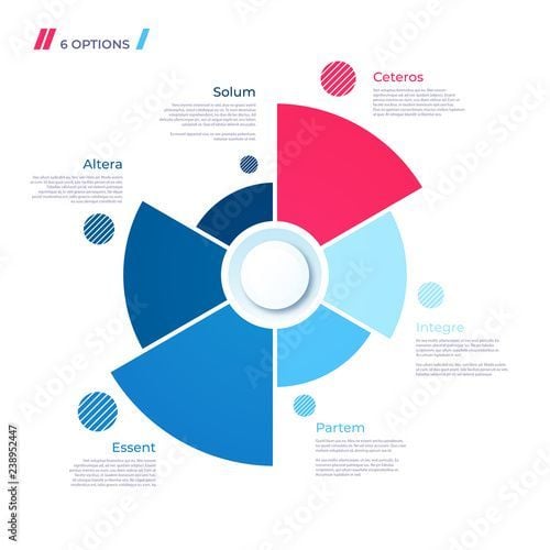Pie chart concept with 6 parts_ Vector template for web, present.jpeg