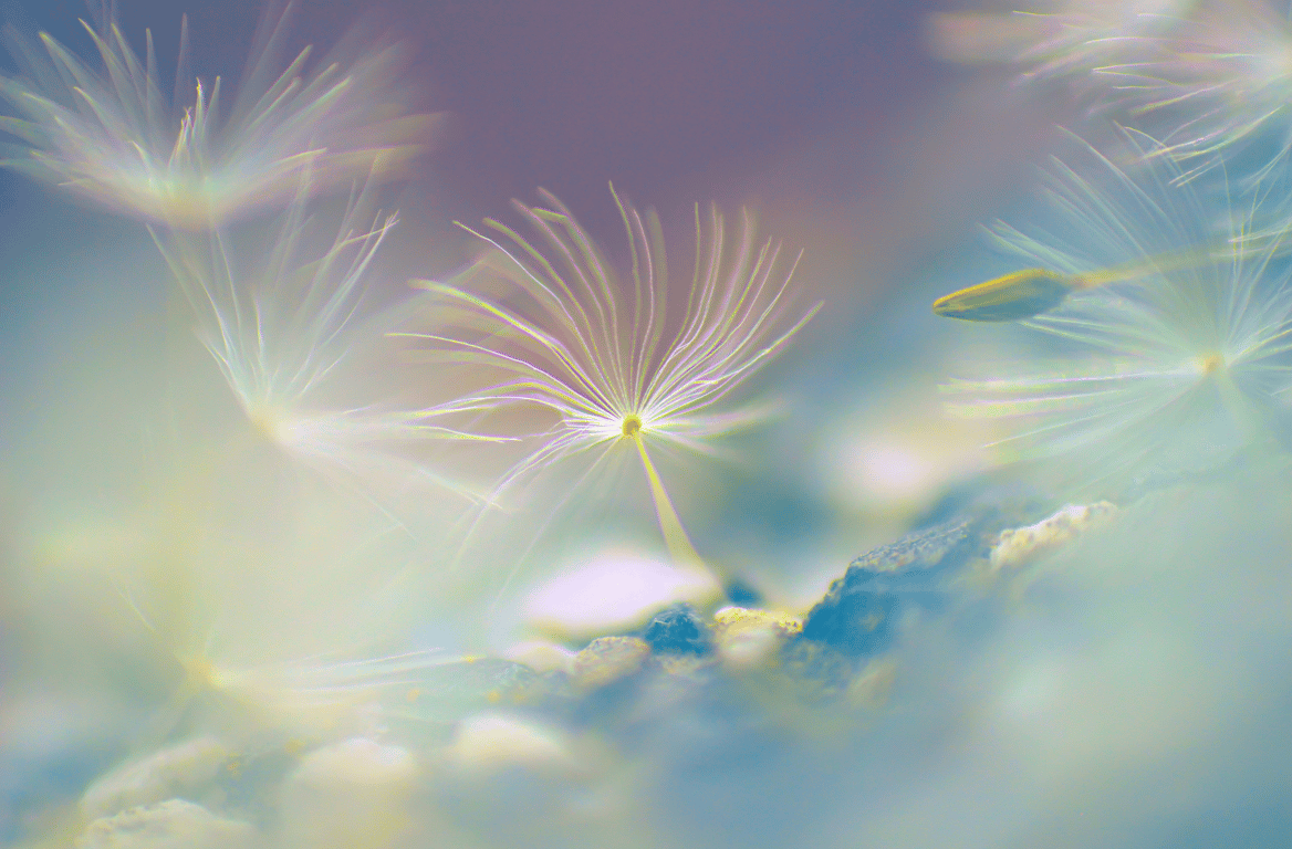 EFT skript pro sílu vnitřního klidu