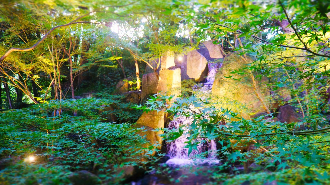 https://atsushiehara.com/photography/life-nature