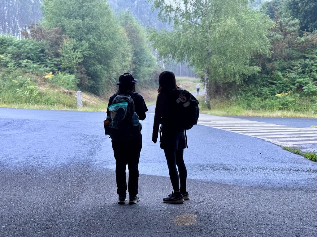 Somewhere close to As Quenllas, not far from the Santiago de Compostela 