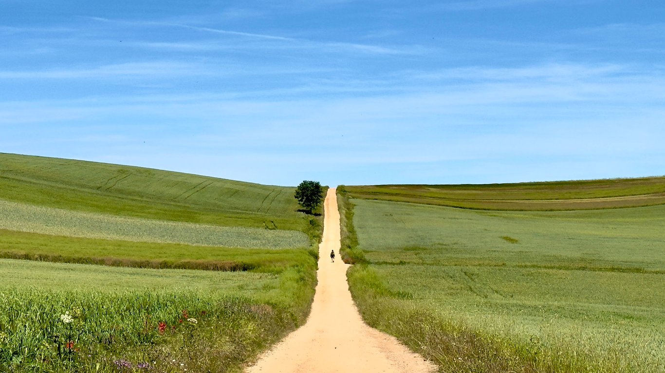 Between Ciruena and Santo Domingo de la Calzada