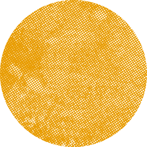 notion image