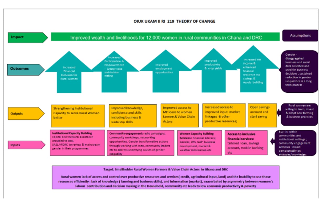 Create evidence-based theories of change