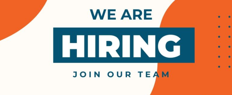 Python Developer
