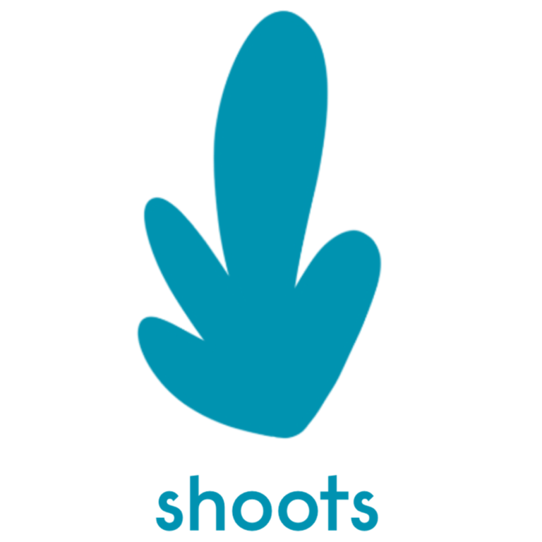 notion image