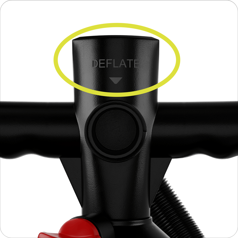notion image