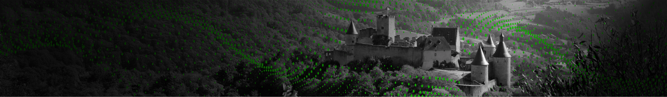 Business internet providers in Luxembourg