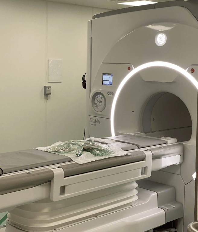 Image of the specimens laying flat inside the MRI used for the test (a GE SIGNA Premier 3T).