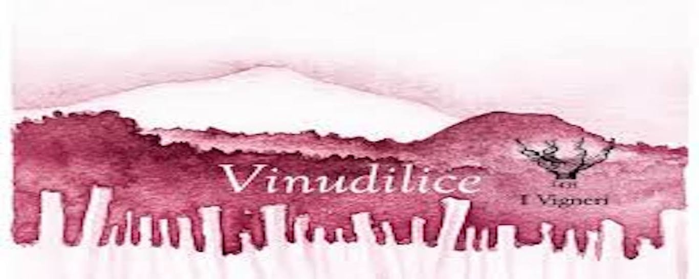 Vinudilice