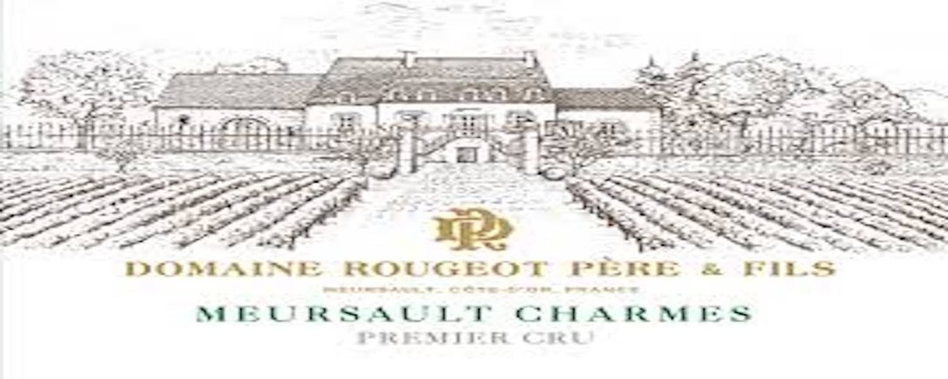 Meursault-Charmes Premier Cru v 2020 