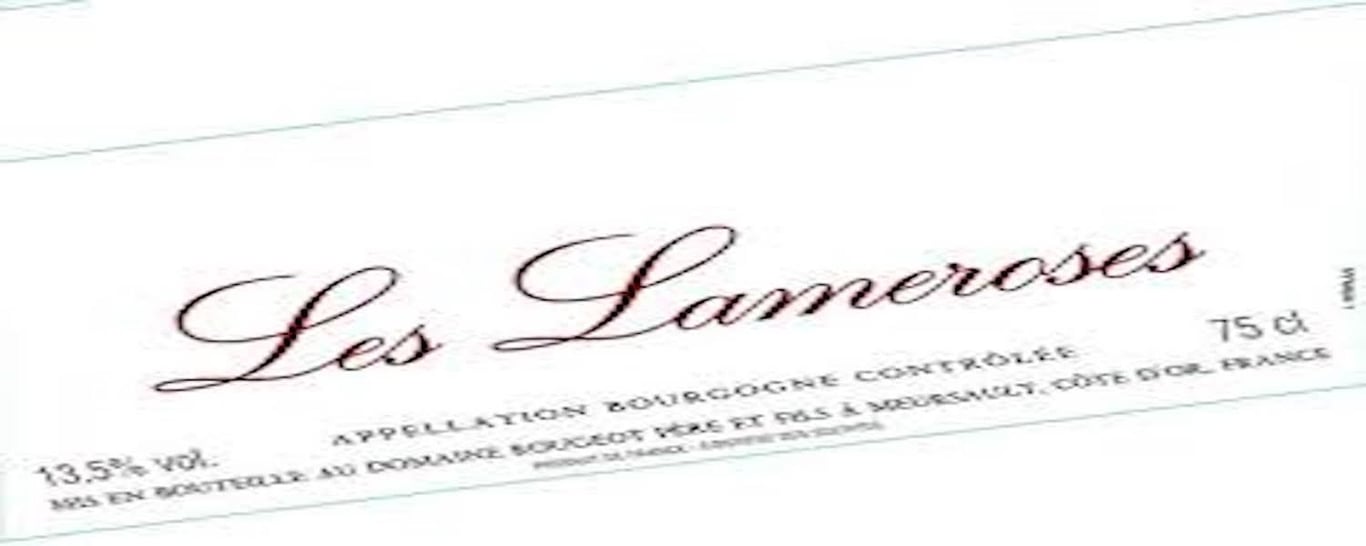 Bourgogne Cote d’Or “Les Lameroses”