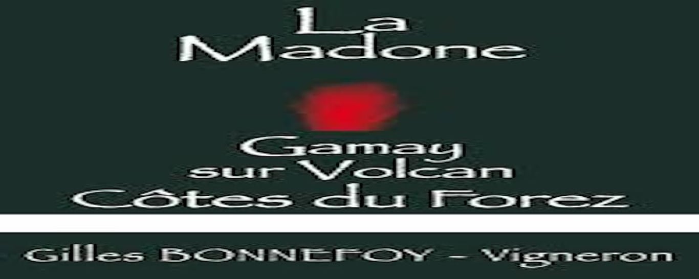 Gamay sur Volcan