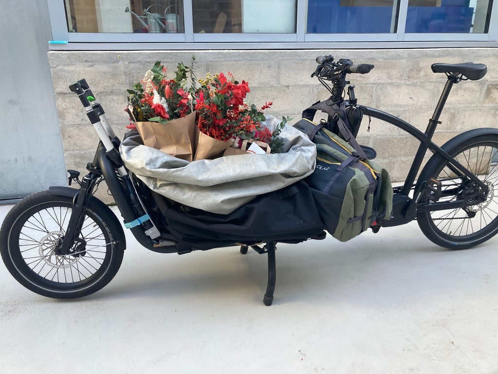 Fleurs séchées
