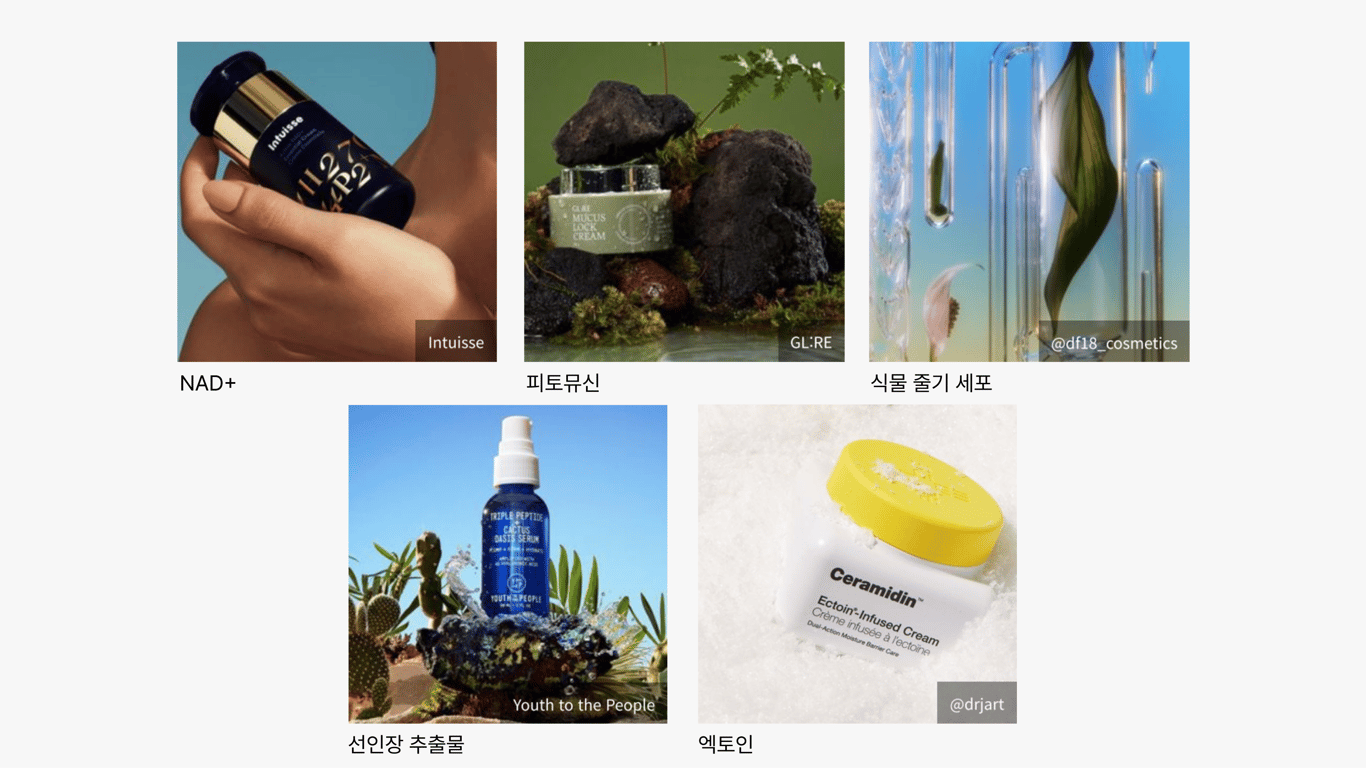 출처: WGSN 리포트 <2026 성분 트렌드 전망>, 2026년 떠오르는 주요 다섯가지 성분