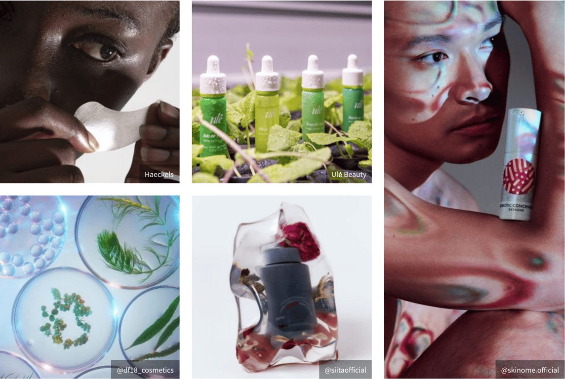 출처: WGSN 리포트 <2025 뷰티 페르소나> 중, 재생족