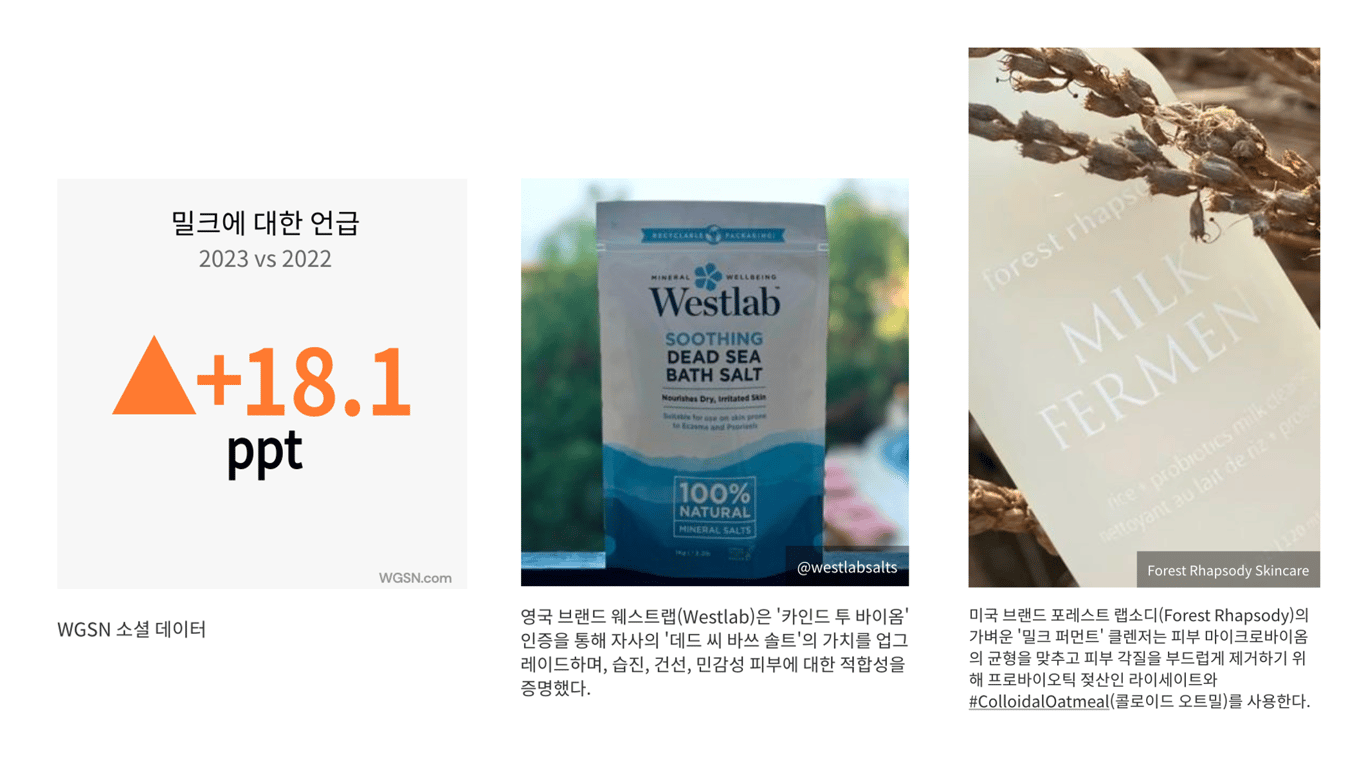 출처: WGSN 리포트, 주류 대중 단계 예시