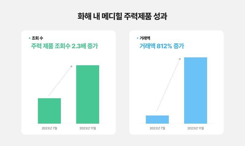 화해 내 메디힐 주력제품 성과