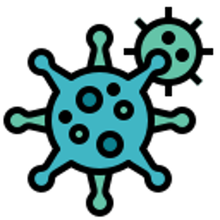 notion image