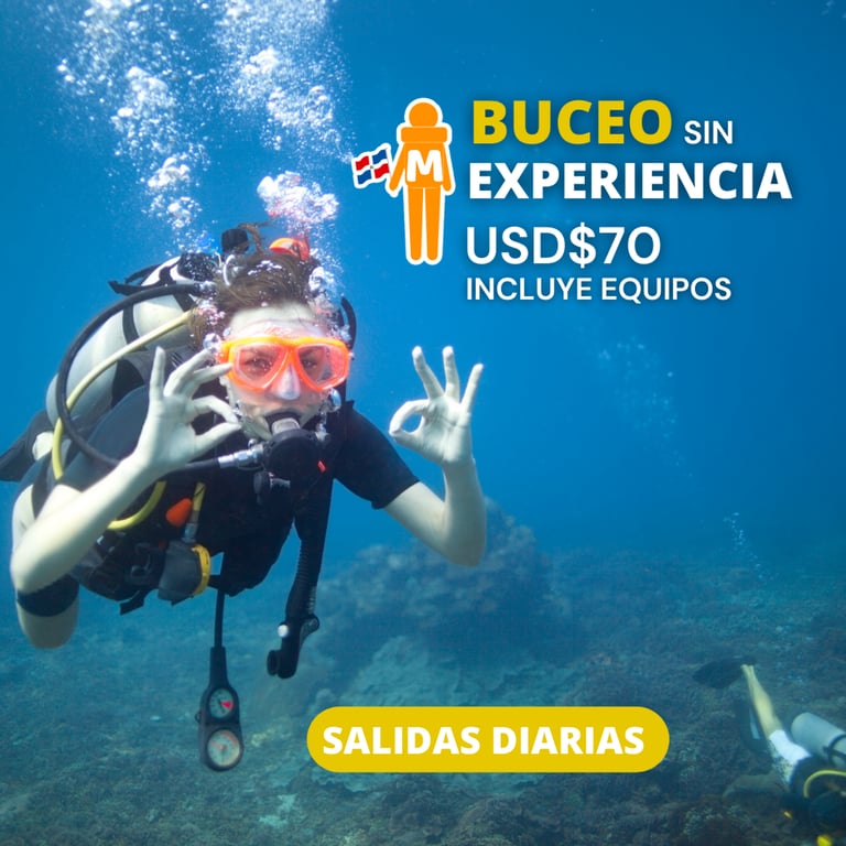 Buceo sin experiencia - Salidas diarias desde Boca Chica