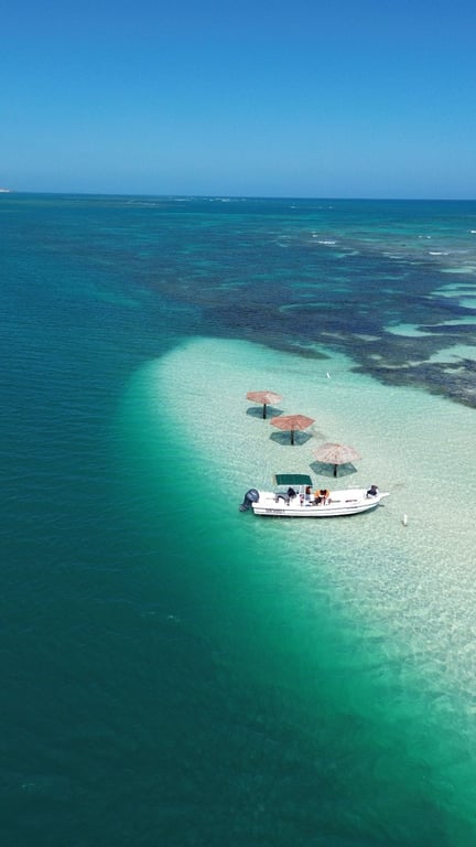 Playita de David + Maglares y Plataforma Monte Cristi + Isla Cabra - Privado