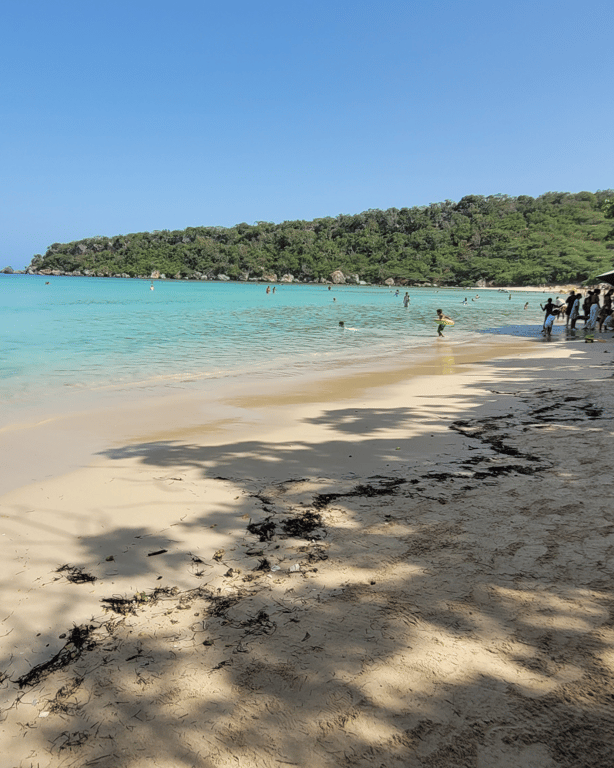 Full Day Playa la ensenada