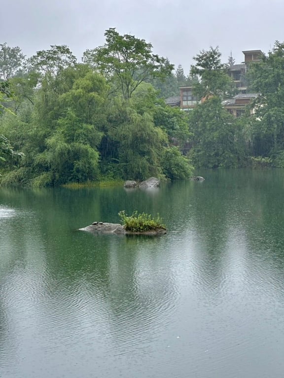 It’s a rainy day. Two turtles are on the rock in the middle of the lake.