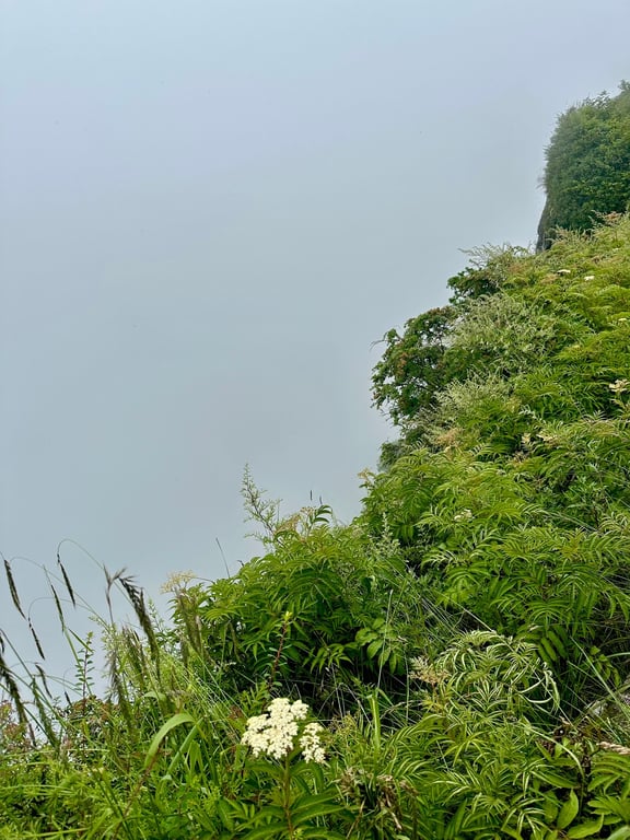 The clouds are unpredictable. Earlier it was clear sky, then all of a sudden it’s fogs everywhere.