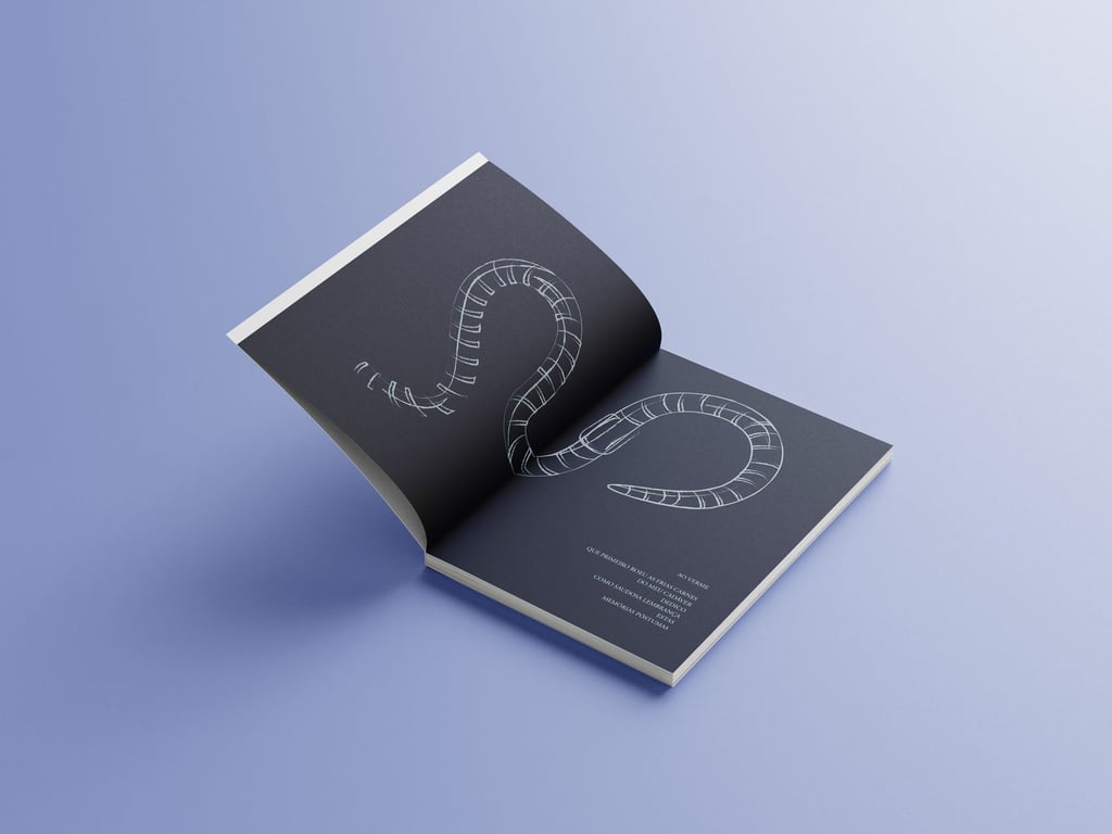 notion image