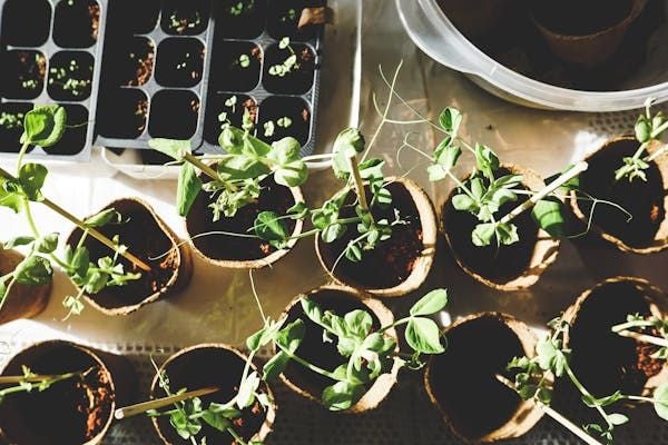 Design social innovation accelerators , weaving tangible impact into the DNA of the program