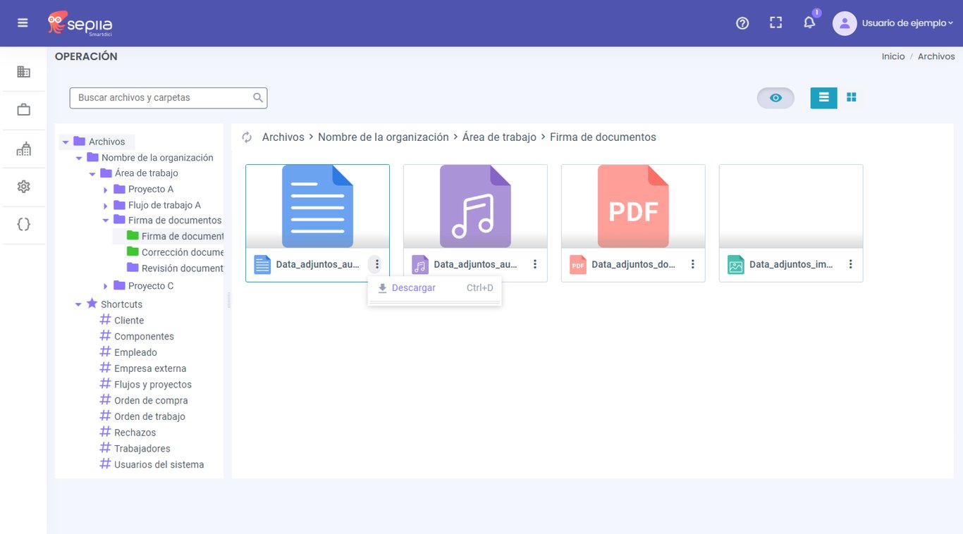 Opción de descarga en la vista de tarjeta.