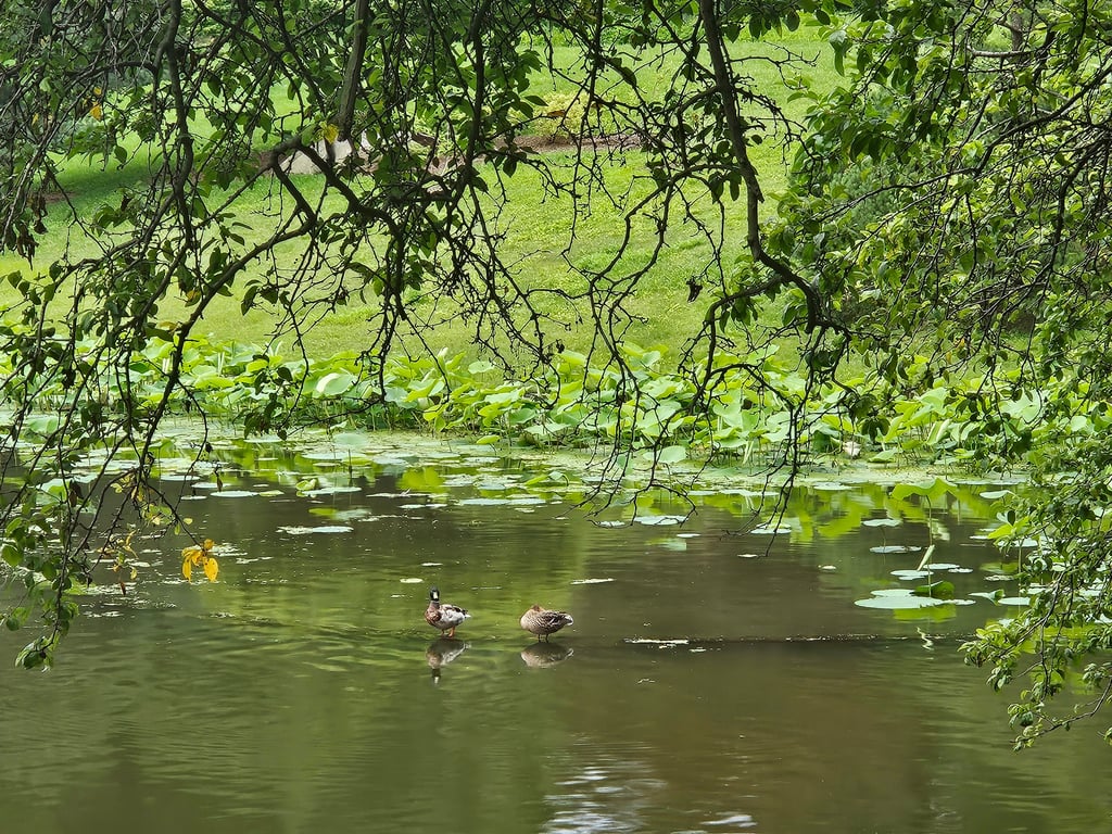 Why You Should Hope (And How to Start Trying)