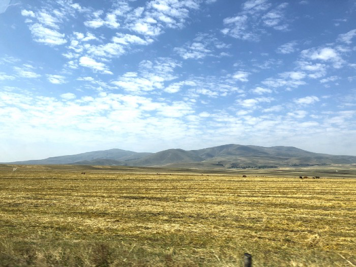 從 Kars 搭車前往 Ani 路途中的原野.