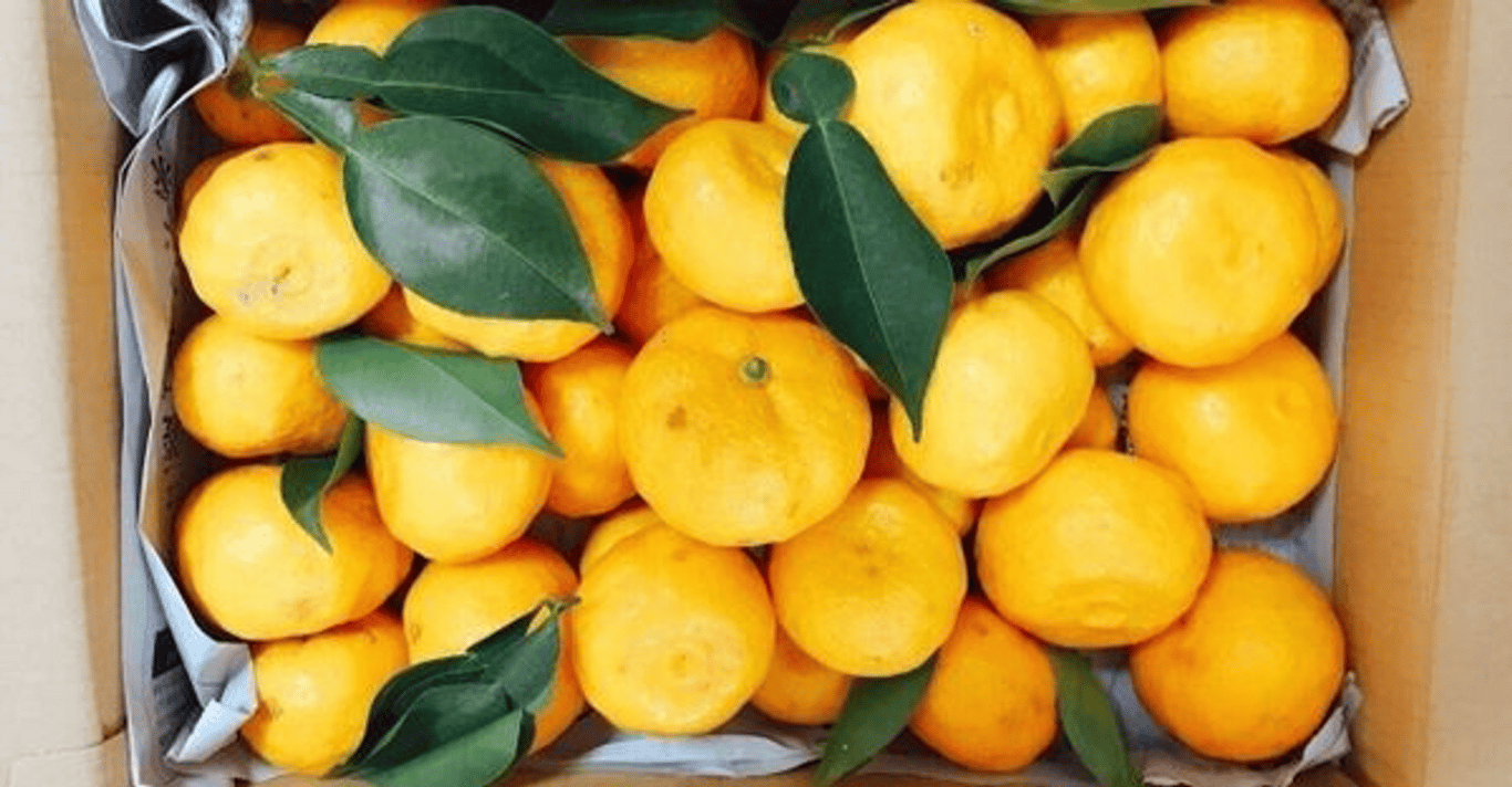 株式会社タベテク